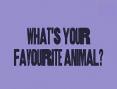 Clip 11.2b: What is your favourite animal?